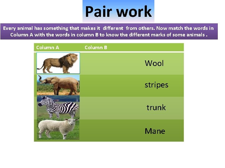 Pair work Every animal has something that makes it different from others. Now match