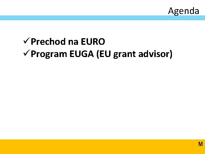 Agenda üPrechod na EURO üProgram EUGA (EU grant advisor) M 