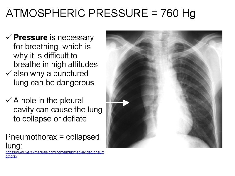 ATMOSPHERIC PRESSURE = 760 Hg ü Pressure is necessary for breathing, which is why