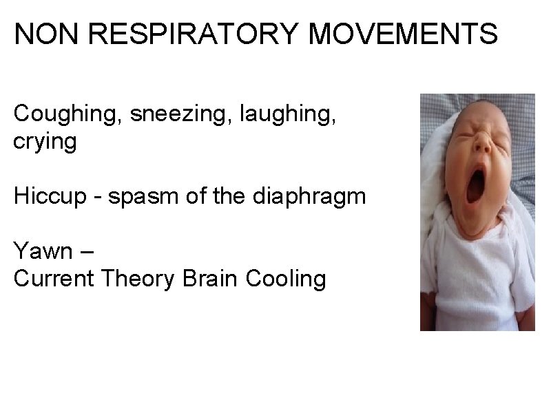 NON RESPIRATORY MOVEMENTS Coughing, sneezing, laughing, crying Hiccup - spasm of the diaphragm Yawn