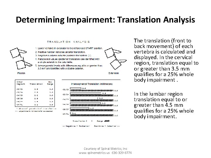 Determining Impairment: Translation Analysis The translation (front to back movement) of each vertebra is