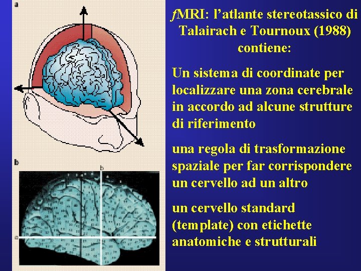 f. MRI: l’atlante stereotassico di Talairach e Tournoux (1988) contiene: Un sistema di coordinate