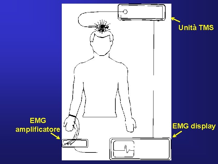 Unità TMS EMG amplificatore EMG display 