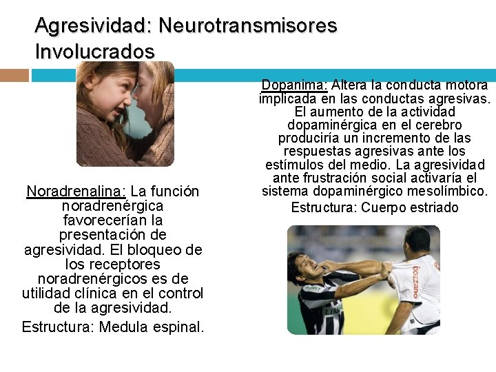 Agresividad: Neurotransmisores Involucrados Noradrenalina: La función noradrenérgica favorecerían la presentación de agresividad. El bloqueo