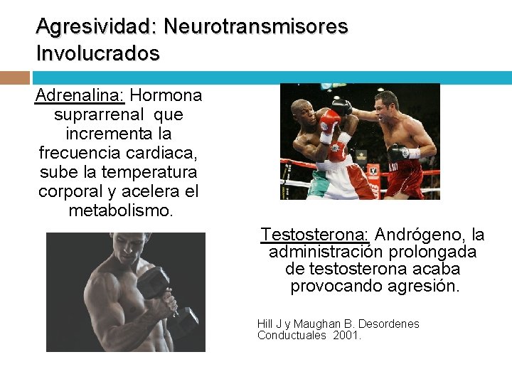 Agresividad: Neurotransmisores Involucrados Adrenalina: Hormona suprarrenal que incrementa la frecuencia cardiaca, sube la temperatura