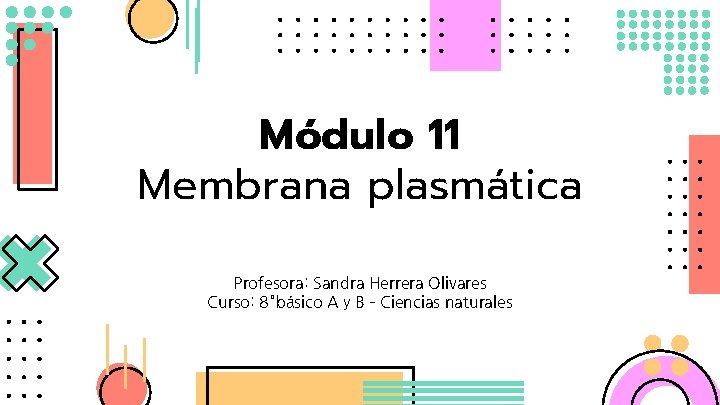 Módulo 11 Membrana plasmática Profesora: Sandra Herrera Olivares Curso: 8°básico A y B –