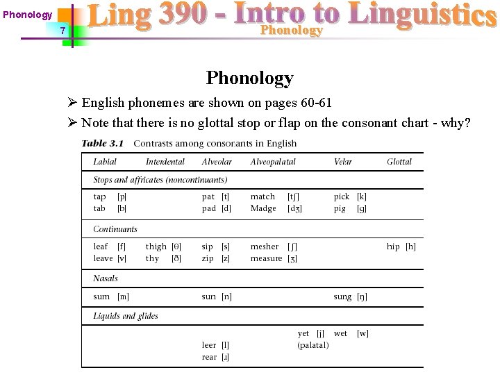 Phonology 7 Phonology Ø English phonemes are shown on pages 60 -61 Ø Note