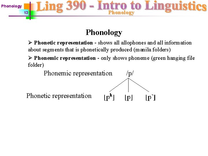 Phonology 13 Phonology Ø Phonetic representation - shows allophones and all information about segments