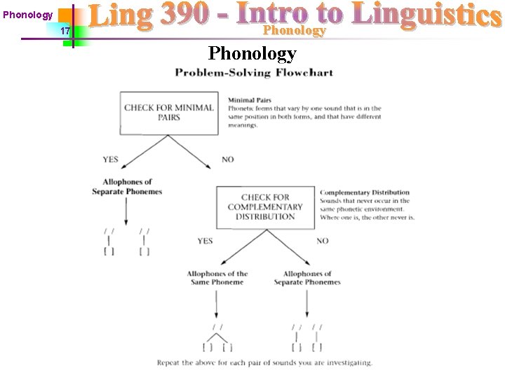 Phonology 17 Phonology 