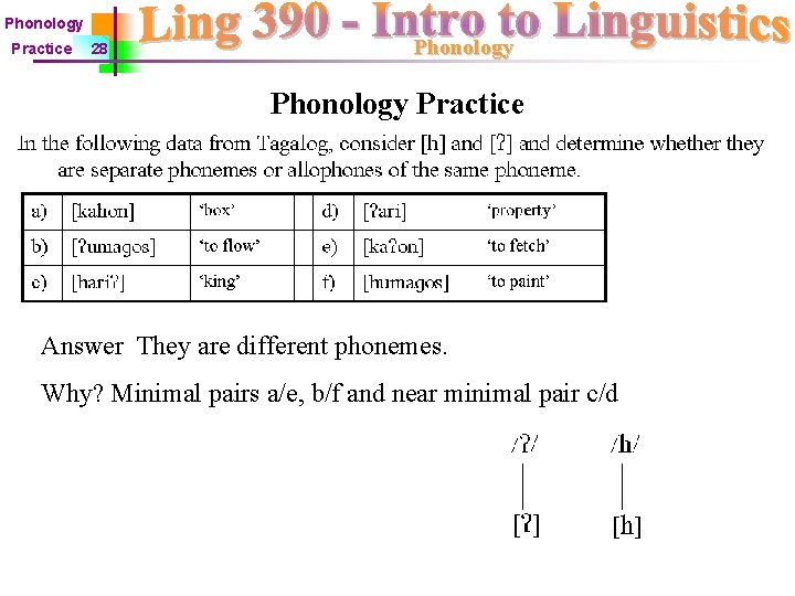 Phonology Practice 28 Phonology Practice Answer They are different phonemes. Why? Minimal pairs a/e,