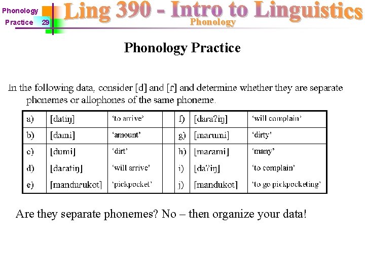 Phonology Practice 29 Phonology Practice Are they separate phonemes? No – then organize your