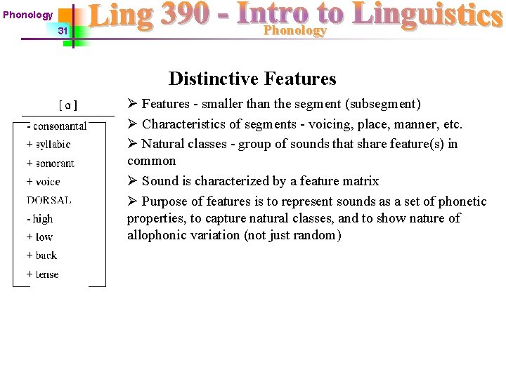 Phonology 31 Phonology Distinctive Features Ø Features - smaller than the segment (subsegment) Ø