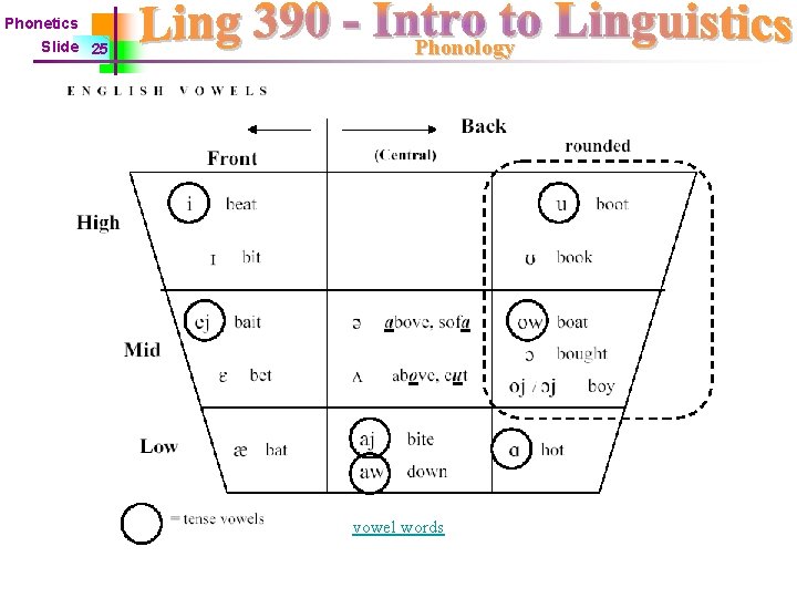 Phonetics Slide 25 Phonology vowel words 