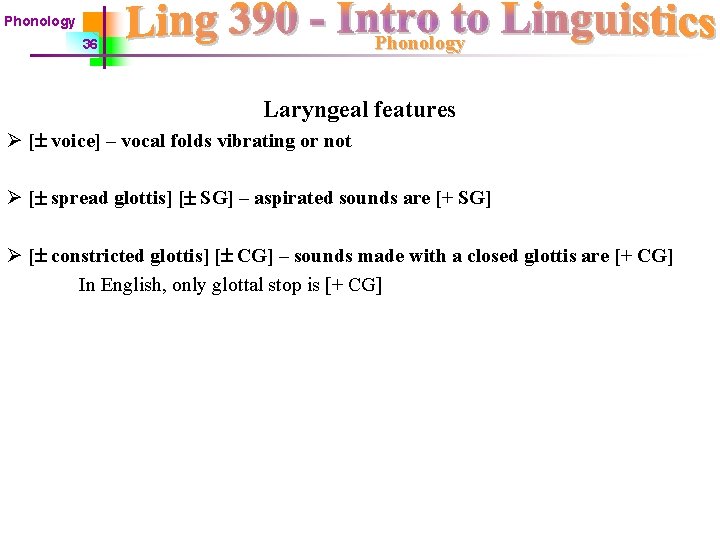 Phonology 36 Laryngeal features Ø [ voice] – vocal folds vibrating or not Ø