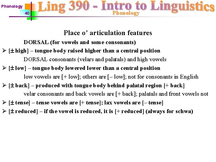 Phonology 40 Phonology Place o’ articulation features DORSAL (for vowels and some consonants) Ø