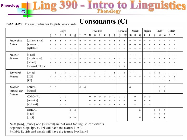 Phonology 43 Phonology Consonants (C) 