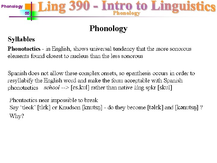 Phonology 55 Phonology 
