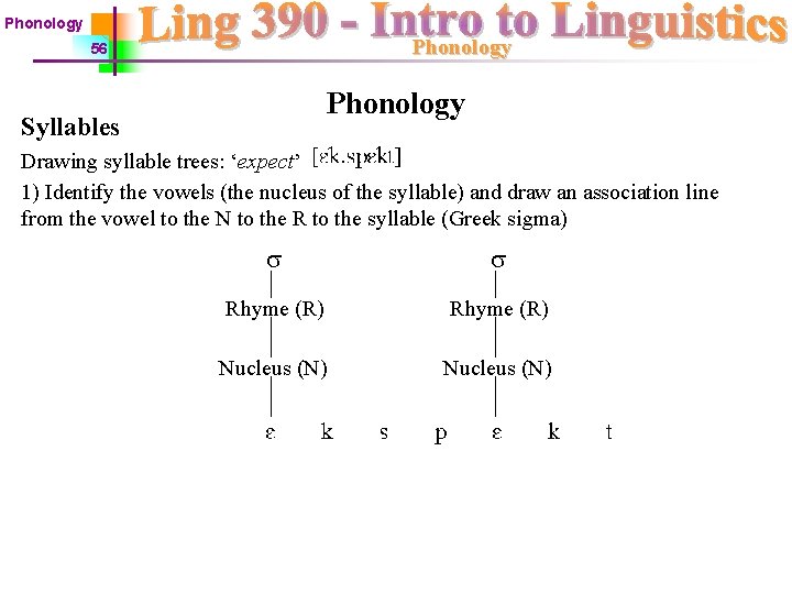 Phonology 56 Phonology Syllables Drawing syllable trees: ‘expect’ 1) Identify the vowels (the nucleus