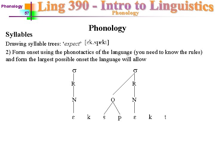 Phonology 57 Phonology Syllables Drawing syllable trees: ‘expect’ 2) Form onset using the phonotactics