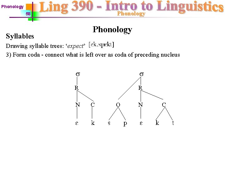 Phonology 58 Phonology Syllables Drawing syllable trees: ‘expect’ 3) Form coda - connect what