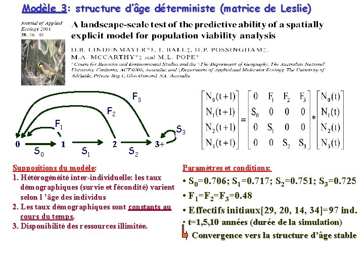 Modèle 3: structure d’âge déterministe (matrice de Leslie) F 3 F 2 F 1