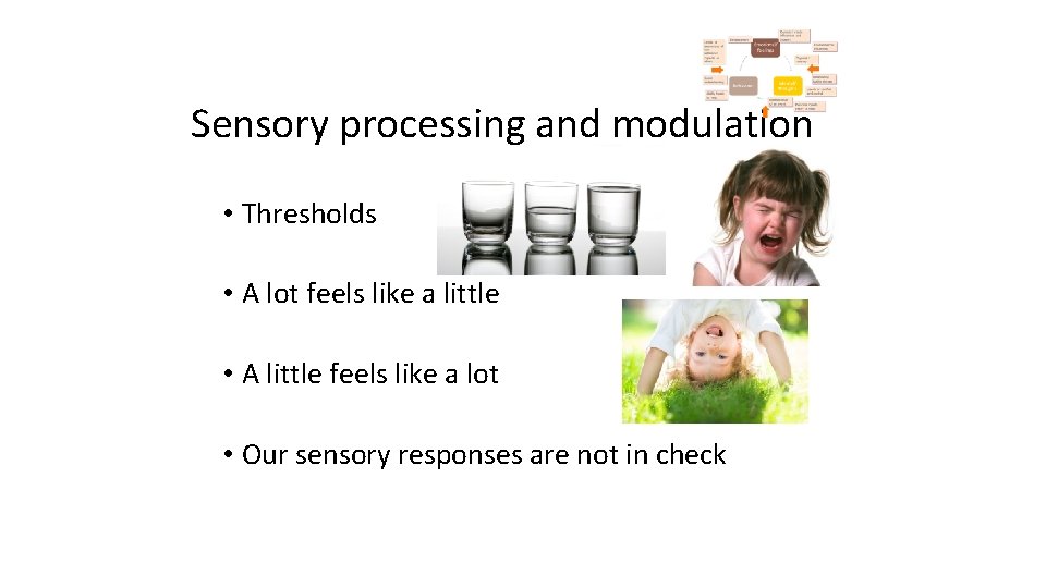 Sensory processing and modulation • Thresholds • A lot feels like a little •