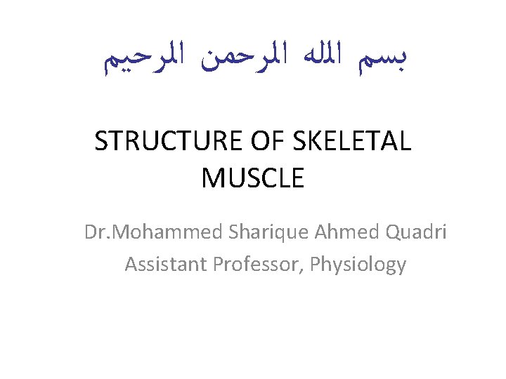  ﺑﺴﻢ ﺍﻟﻠﻪ ﺍﻟﺮﺣﻤﻦ ﺍﻟﺮﺣﻴﻢ STRUCTURE OF SKELETAL MUSCLE Dr. Mohammed Sharique Ahmed Quadri