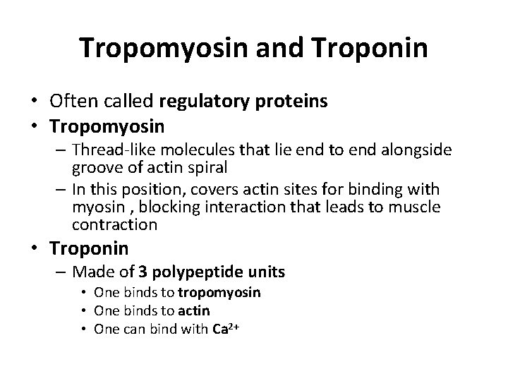 Tropomyosin and Troponin • Often called regulatory proteins • Tropomyosin – Thread-like molecules that