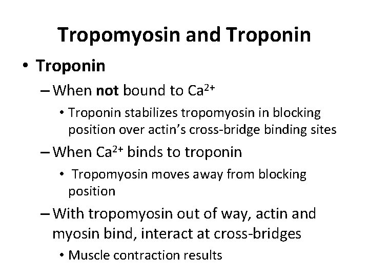 Tropomyosin and Troponin • Troponin – When not bound to Ca 2+ • Troponin