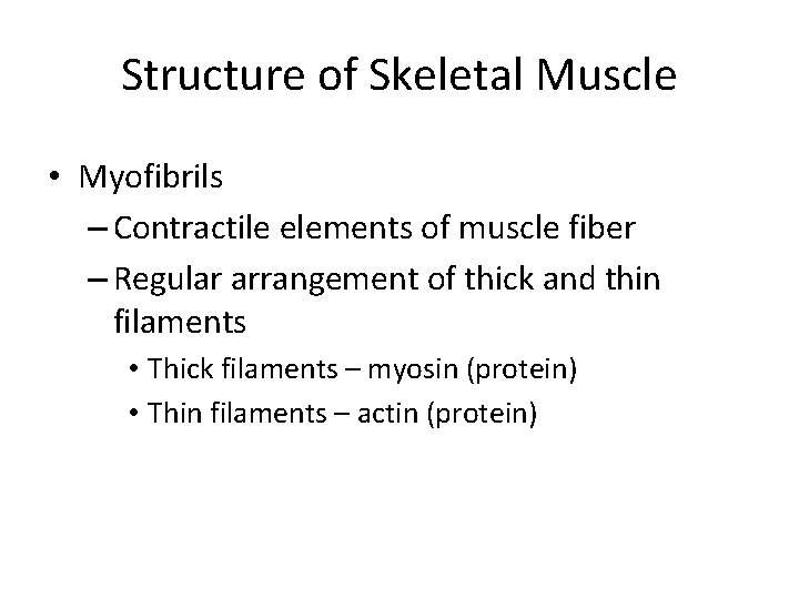 Structure of Skeletal Muscle • Myofibrils – Contractile elements of muscle fiber – Regular