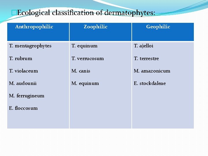 �Ecological classification of dermatophytes: Anthropophilic Zoophilic Geophilic T. mentagrophytes T. equinum T. ajelloi T.