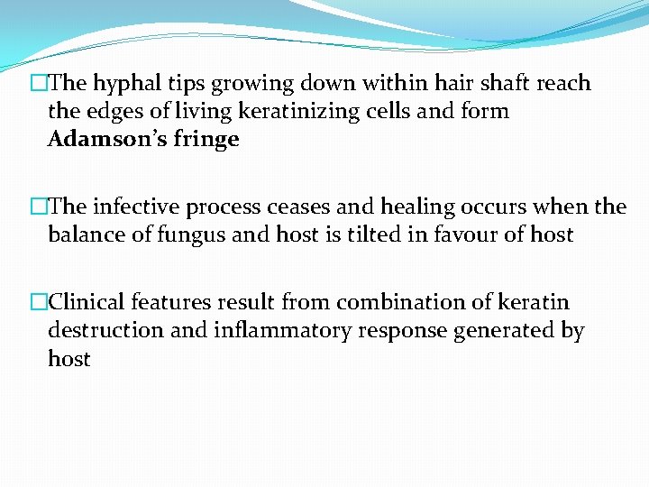 �The hyphal tips growing down within hair shaft reach the edges of living keratinizing