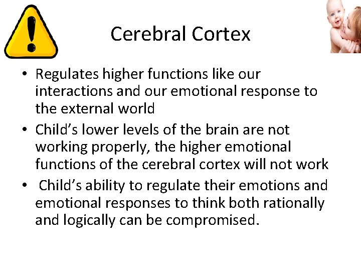 Cerebral Cortex • Regulates higher functions like our interactions and our emotional response to