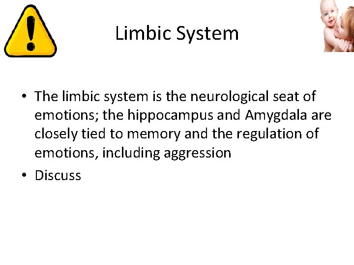 Limbic System • The limbic system is the neurological seat of emotions; the hippocampus