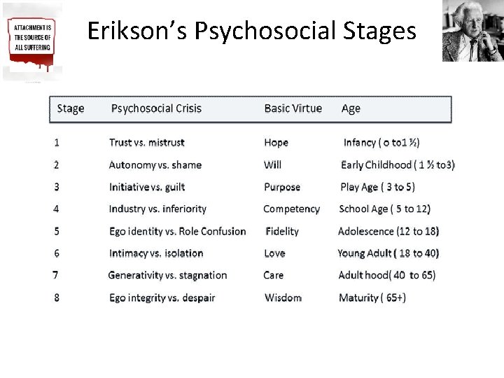 Erikson’s Psychosocial Stages 