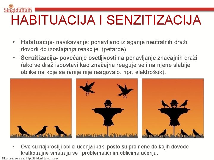 HABITUACIJA I SENZITIZACIJA • Habituacija- navikavanje: ponavljano izlaganje neutralnih draži dovodi do izostajanja reakcije.