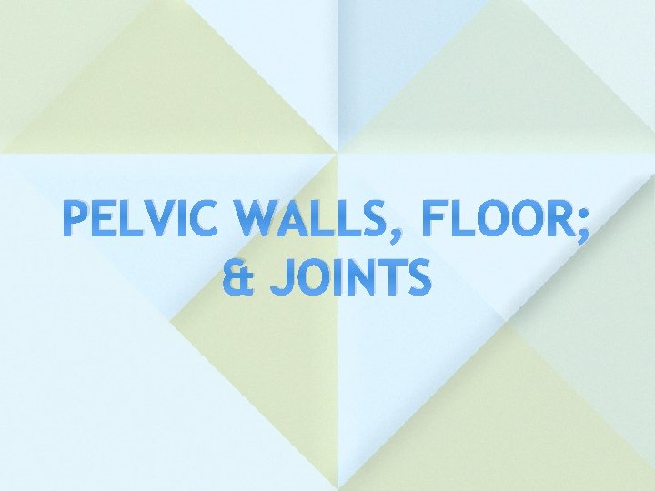 PELVIC WALLS, FLOOR; & JOINTS 