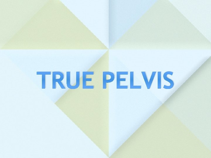 TRUE PELVIS 