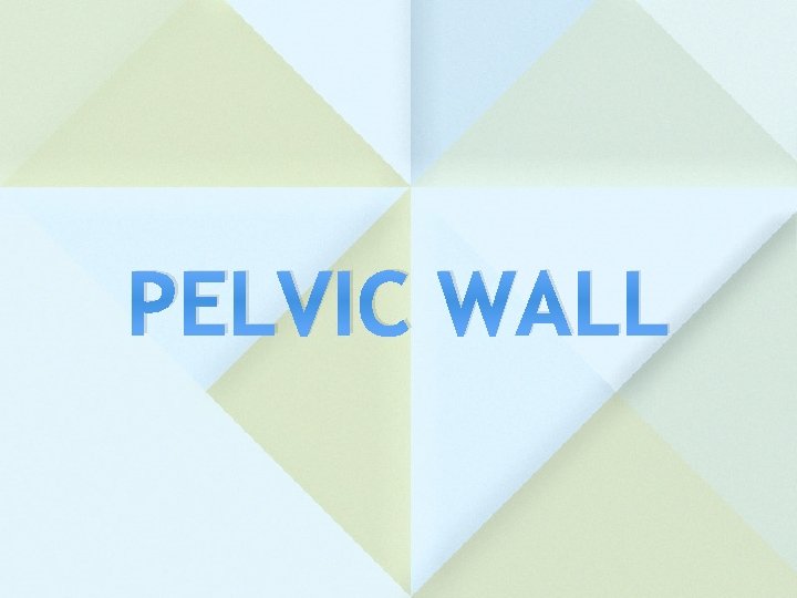 PELVIC WALL 