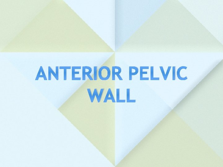 ANTERIOR PELVIC WALL 