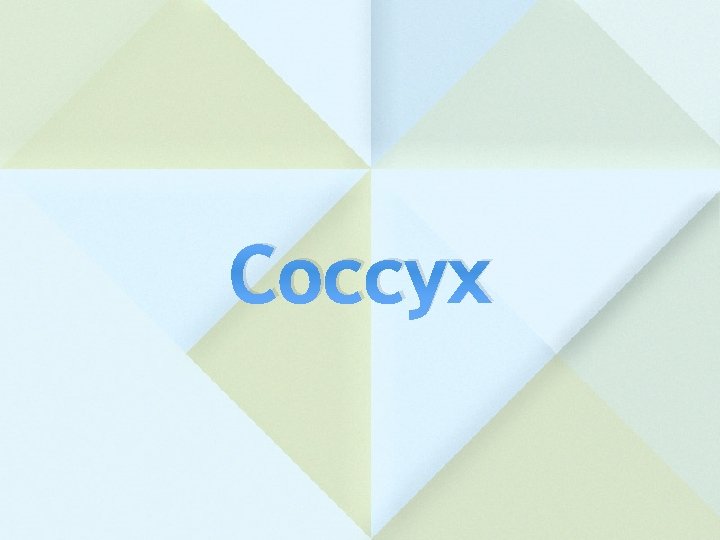 Coccyx 