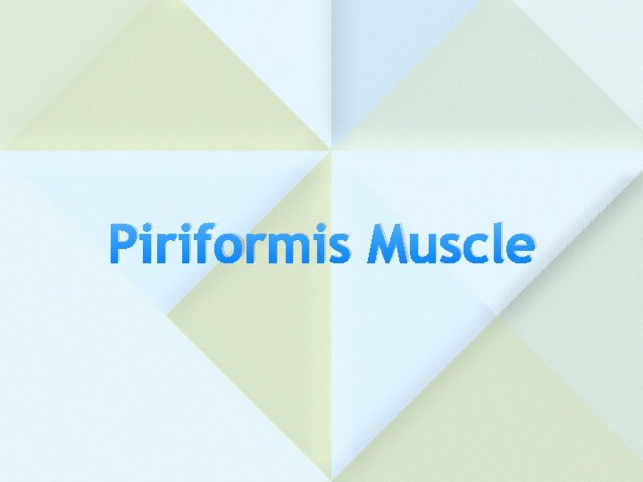 Piriformis Muscle 