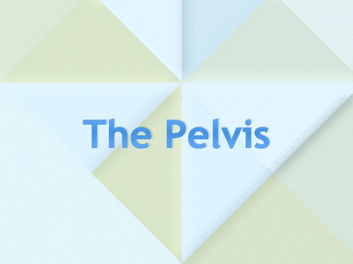 The Pelvis 
