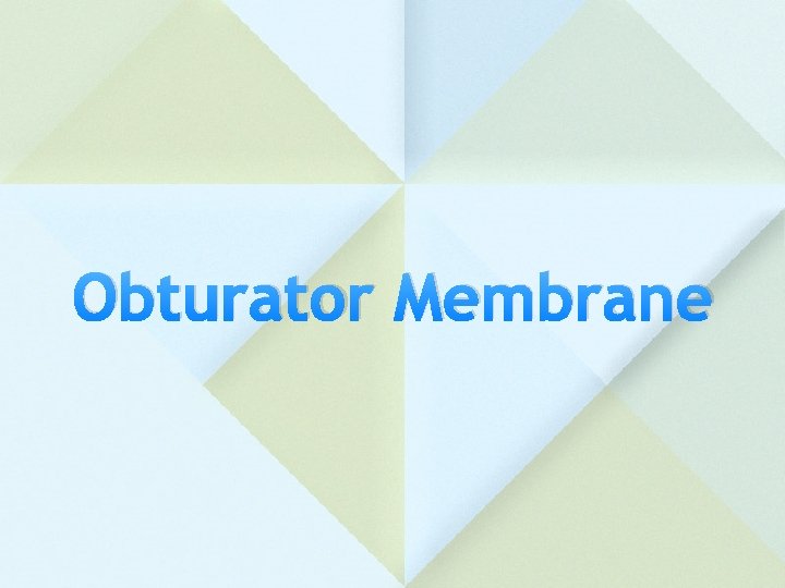 Obturator Membrane 
