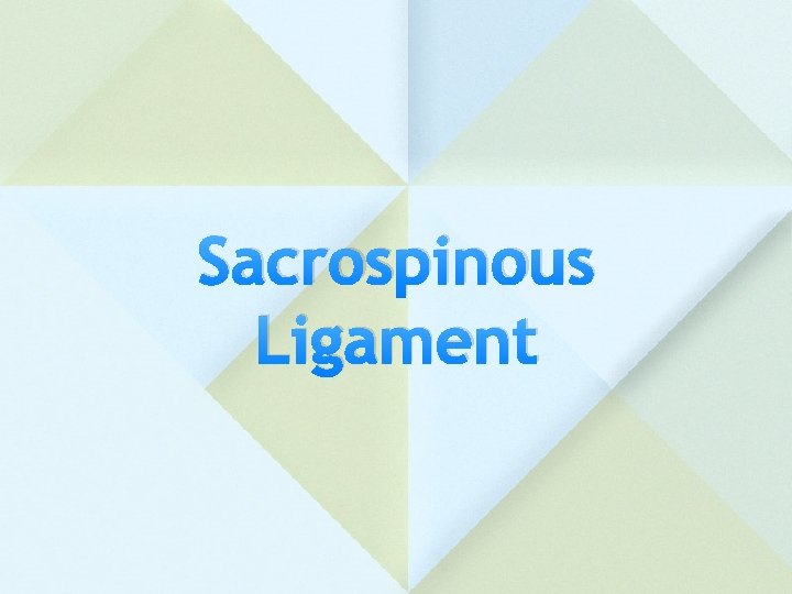 Sacrospinous Ligament 