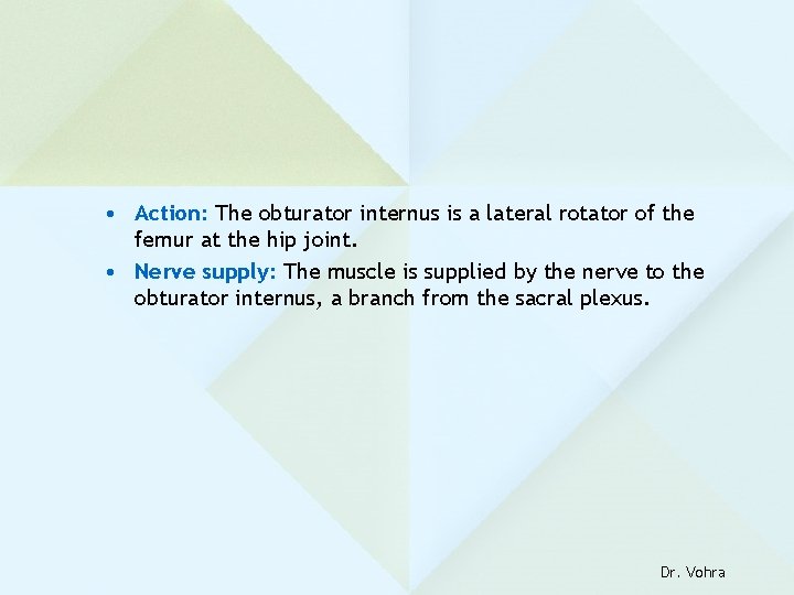  • Action: The obturator internus is a lateral rotator of the femur at