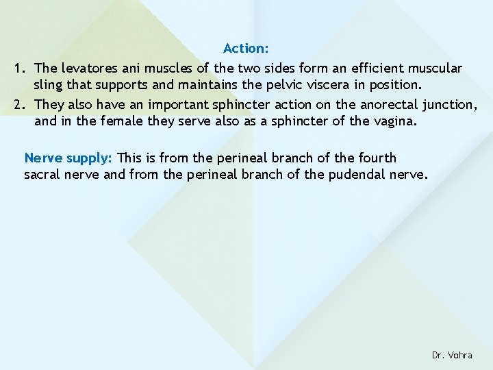 Action: 1. The levatores ani muscles of the two sides form an efficient muscular