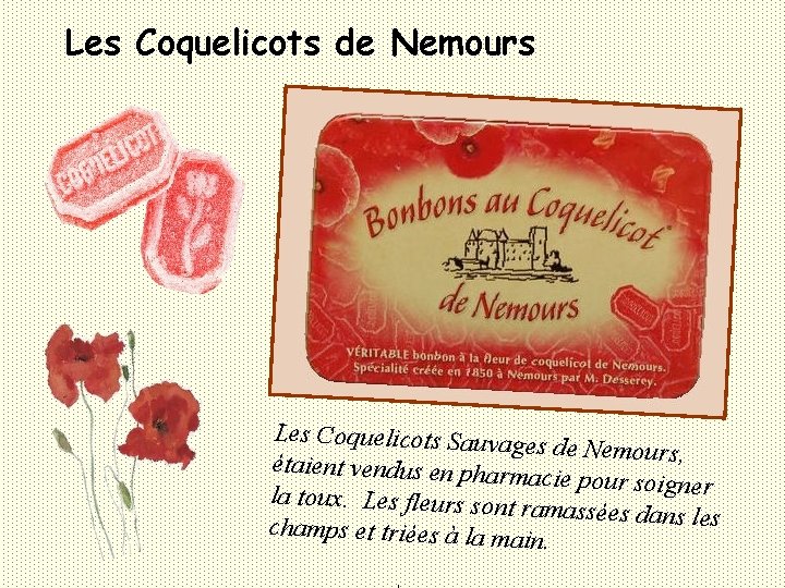 Les Coquelicots de Nemours Les Coquelicots Sauvag es de Nemours, étaient vendus en pharm