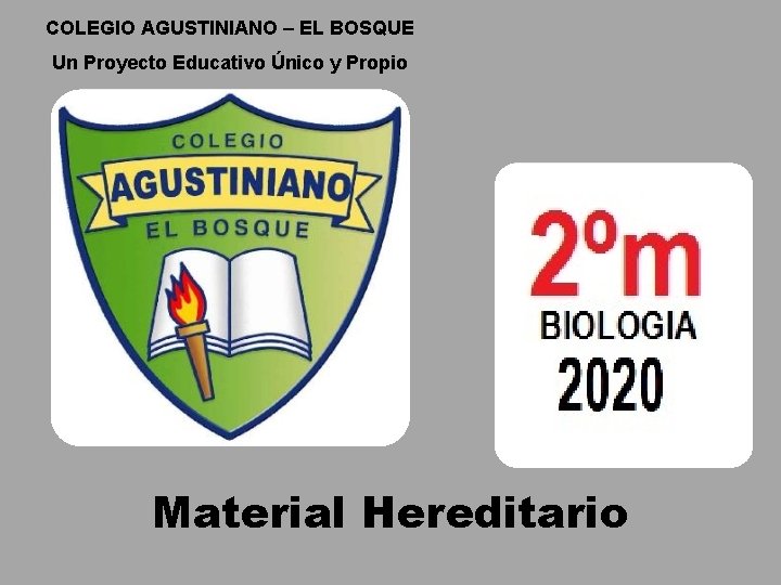 COLEGIO AGUSTINIANO – EL BOSQUE Un Proyecto Educativo Único y Propio Material Hereditario 