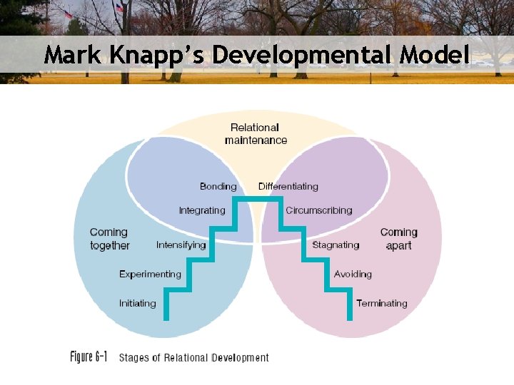 Mark Knapp’s Developmental Model 